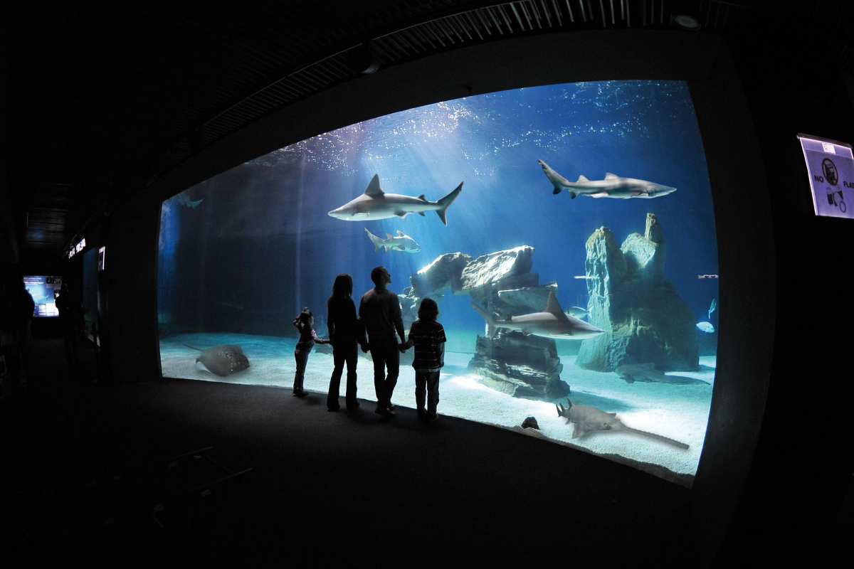 Acquario di Genova