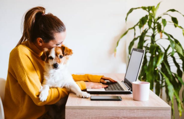 Portare il cane a lavoro