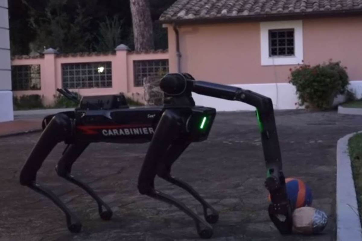 Cane Robot Saetta