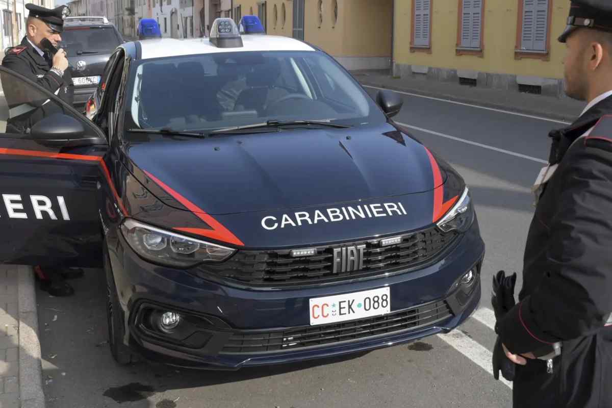 Torino, pianto di neonato dai rifiuti